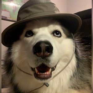 Meet your Posher, Jordan